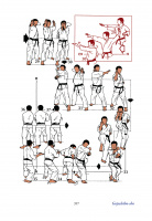 die_30_kata_des_shotokan_karate_musterseiten_397