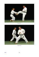 die_30_kata_des_shotokan_karate_musterseiten_452