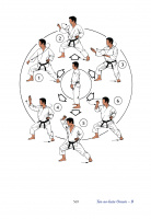 die_30_kata_des_shotokan_karate_musterseiten_569