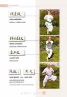 enzyklopaedie-shotokan-karate-schlatt-v4-009