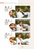 enzyklopaedie-shotokan-karate-schlatt-v4-014
